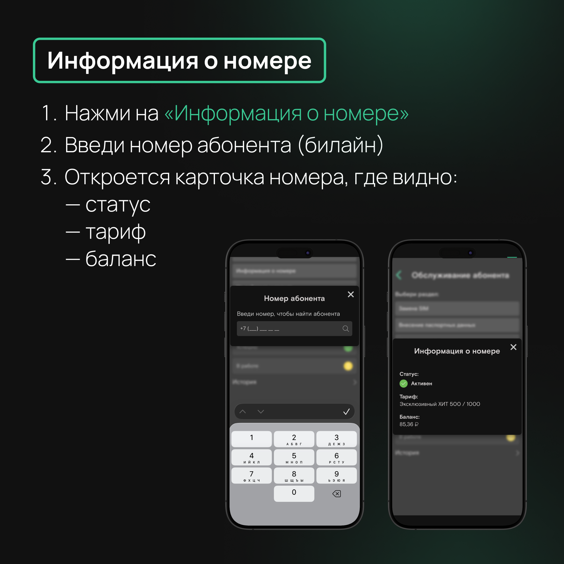 Информация о номере